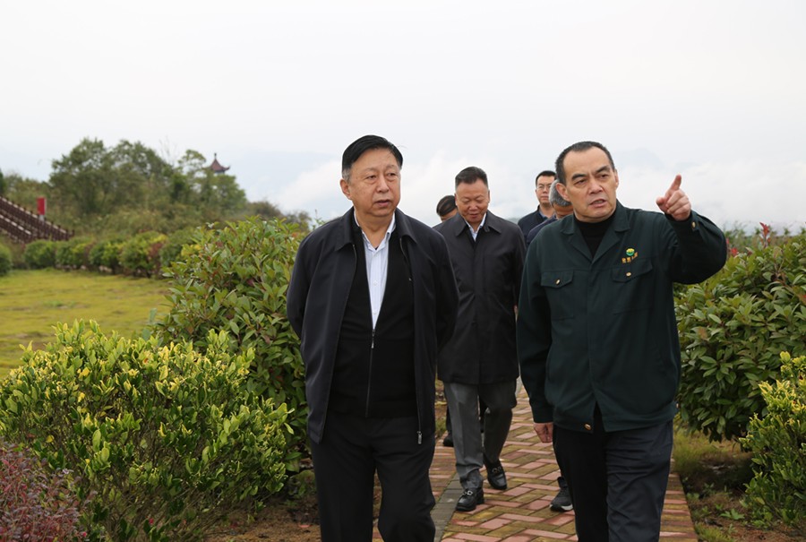 19-2021年10月，原國土資源部副部長汪民蒞臨公司調(diào)研。.jpg