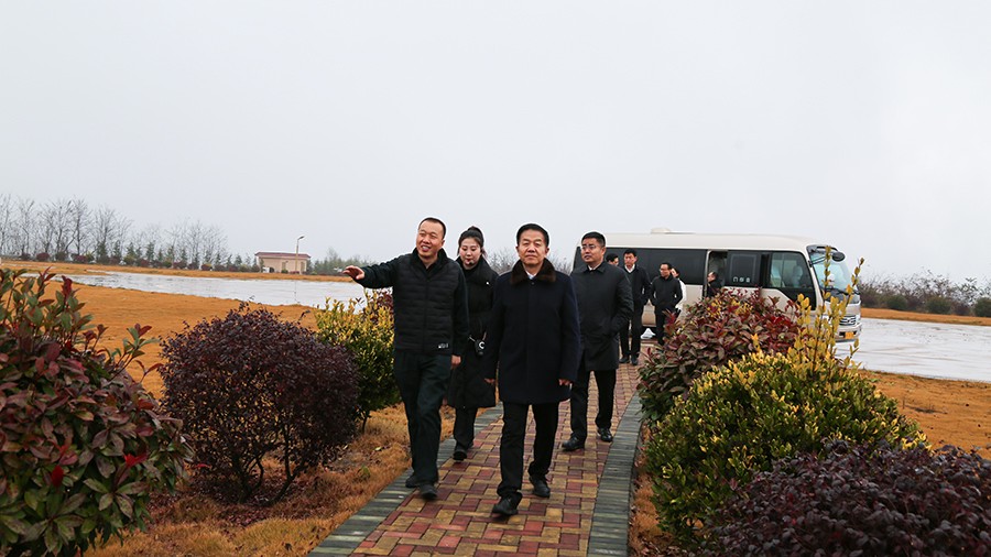 45-2020年12月，省高級人民法院黨組成員、副院長任建國蒞臨金徽股份調(diào)研知識產(chǎn)權(quán)司法保護(hù)工作。.jpg