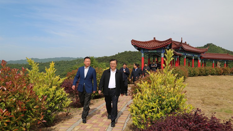 省人民檢察院黨組書記、檢察長朱玉調(diào)研金徽股份
